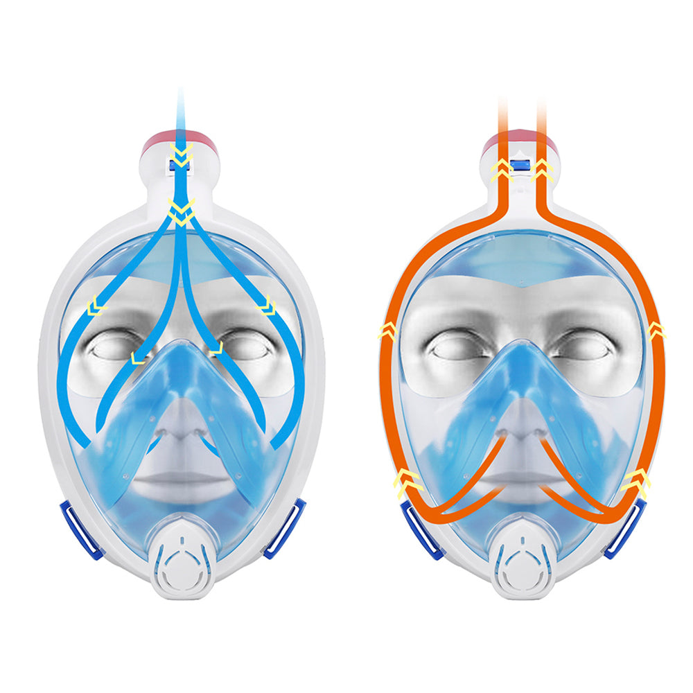 Snorkeling Mask