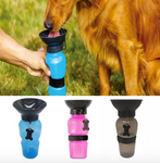 Aqua Dog Bottle