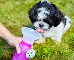 Aqua Dog Bottle