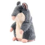 Lovely Talking Hamster