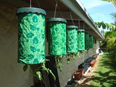 Topsy Turvy Tomato Planter