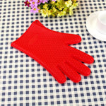 Heat Resistant Glove